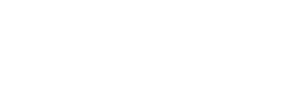 Princess Limousine