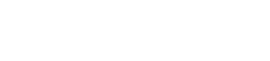 Princess Limousine